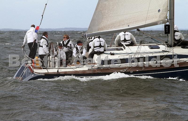 ORCi 098.jpg